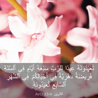 Picture 03 - اَللَّاوِيِّينَ 23:41 AVD - تُعَيِّدُونَهُ عِيدًا - Bible Verse Picture