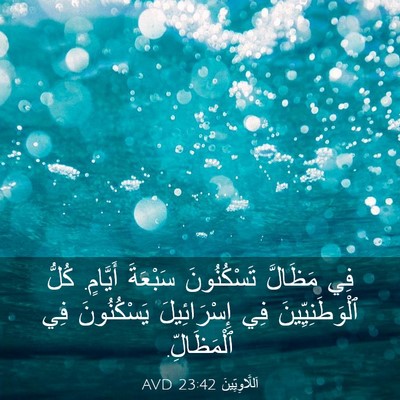 Picture 03 - اَللَّاوِيِّينَ 23:42 AVD - فِي مَظَالَّ تَسْكُنُونَ - Bible Verse Picture