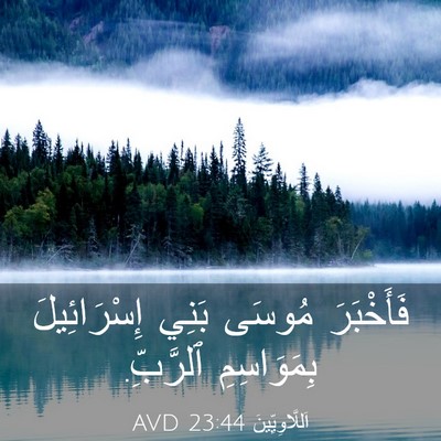 Picture 03 - اَللَّاوِيِّينَ 23:44 AVD - فَأَخْبَرَ مُوسَى بَنِي - Bible Verse Picture