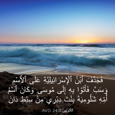 Picture 03 - اَللَّاوِيِّينَ 24:11 AVD - فَجَدَّفَ ٱبْنُ - Bible Verse Picture