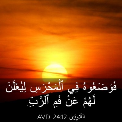 Picture 03 - اَللَّاوِيِّينَ 24:12 AVD - فَوَضَعُوهُ فِي - Bible Verse Picture