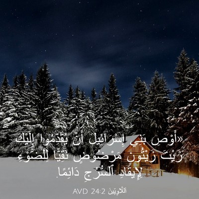 Picture 03 - اَللَّاوِيِّينَ 24:2 AVD - «أَوْصِ بَنِي - Bible Verse Picture