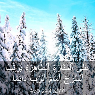 Picture 03 - اَللَّاوِيِّينَ 24:4 AVD - عَلَى ٱلْمَنَارَةِ - Bible Verse Picture
