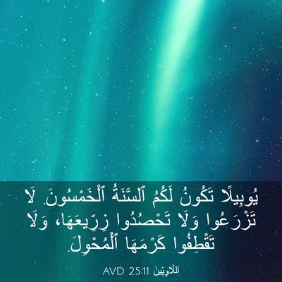 Picture 03 - اَللَّاوِيِّينَ 25:11 AVD - يُوبِيلًا تَكُونُ لَكُمُ - Bible Verse Picture