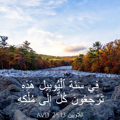 Picture 03 - اَللَّاوِيِّينَ 25:13 AVD - فِي سَنَةِ ٱلْيُوبِيلِ - Bible Verse Picture