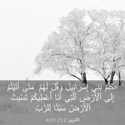 Picture 03 - اَللَّاوِيِّينَ 25:2 AVD - «كَلِّمْ بَنِي - Bible Verse Picture