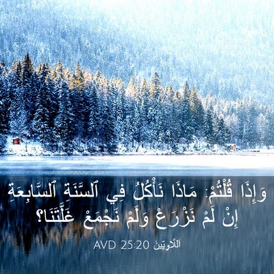 Picture 03 - اَللَّاوِيِّينَ 25:20 AVD - وَإِذَا قُلْتُمْ: مَاذَا - Bible Verse Picture