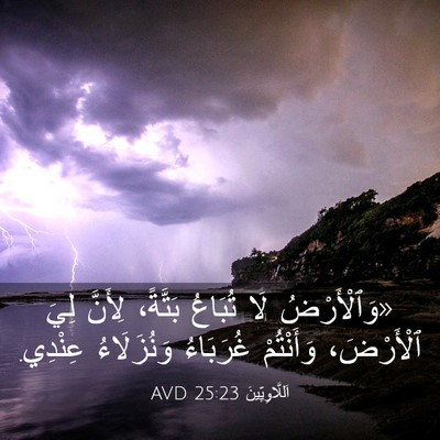 Picture 03 - اَللَّاوِيِّينَ 25:23 AVD - «وَٱلْأَرْضُ لَا تُبَاعُ - Bible Verse Picture
