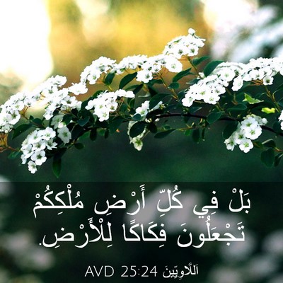 Picture 03 - اَللَّاوِيِّينَ 25:24 AVD - بَلْ فِي كُلِّ أَرْضِ - Bible Verse Picture
