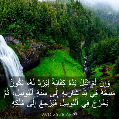 Picture 03 - اَللَّاوِيِّينَ 25:28 AVD - وَإِنْ لَمْ تَنَلْ يَدُهُ - Bible Verse Picture