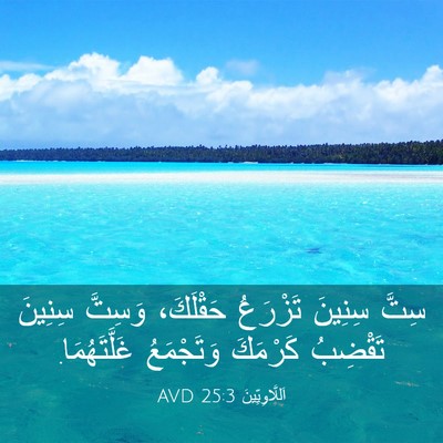 Picture 03 - اَللَّاوِيِّينَ 25:3 AVD - سِتَّ سِنِينَ تَزْرَعُ - Bible Verse Picture