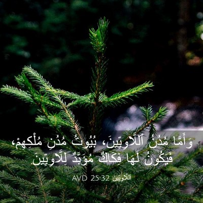 Picture 03 - اَللَّاوِيِّينَ 25:32 AVD - وَأَمَّا مُدُنُ - Bible Verse Picture