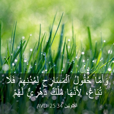 Picture 03 - اَللَّاوِيِّينَ 25:34 AVD - وَأَمَّا حُقُولُ - Bible Verse Picture