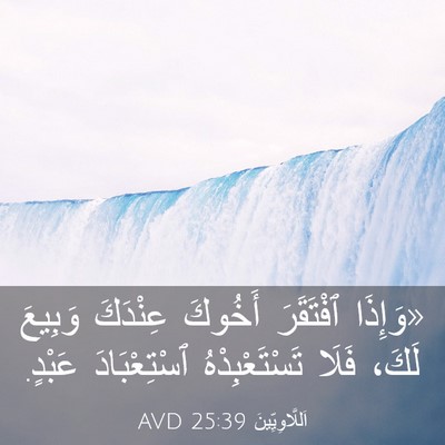 Picture 03 - اَللَّاوِيِّينَ 25:39 AVD - «وَإِذَا ٱفْتَقَرَ - Bible Verse Picture