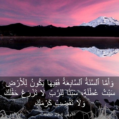 Picture 03 - اَللَّاوِيِّينَ 25:4 AVD - وَأَمَّا ٱلسَّنَةُ - Bible Verse Picture