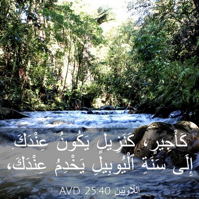 Picture 03 - اَللَّاوِيِّينَ 25:40 AVD - كَأَجِيرٍ، كَنَزِيلٍ - Bible Verse Picture