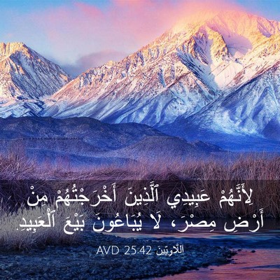 Picture 03 - اَللَّاوِيِّينَ 25:42 AVD - لِأَنَّهُمْ عَبِيدِي - Bible Verse Picture