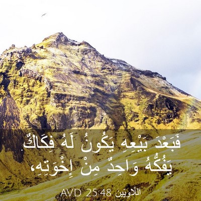 Picture 03 - اَللَّاوِيِّينَ 25:48 AVD - فَبَعْدَ بَيْعِهِ يَكُونُ - Bible Verse Picture