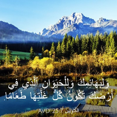 Picture 03 - اَللَّاوِيِّينَ 25:7 AVD - وَلِبَهَائِمِكَ - Bible Verse Picture