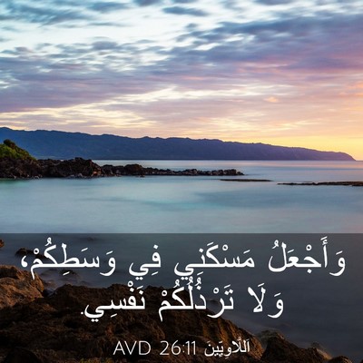 Picture 03 - اَللَّاوِيِّينَ 26:11 AVD - وَأَجْعَلُ مَسْكَنِي فِي - Bible Verse Picture