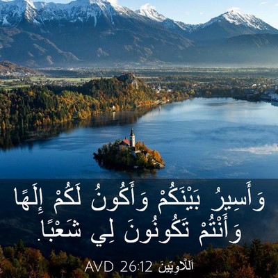 Picture 03 - اَللَّاوِيِّينَ 26:12 AVD - وَأَسِيرُ بَيْنَكُمْ - Bible Verse Picture
