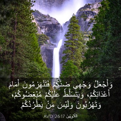 Picture 03 - اَللَّاوِيِّينَ 26:17 AVD - وَأَجْعَلُ وَجْهِي - Bible Verse Picture