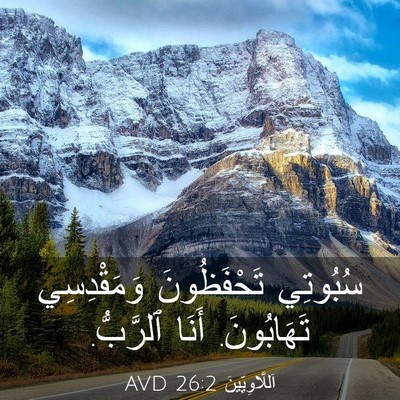 Picture 03 - اَللَّاوِيِّينَ 26:2 AVD - سُبُوتِي تَحْفَظُونَ - Bible Verse Picture