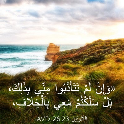 Picture 03 - اَللَّاوِيِّينَ 26:23 AVD - «وَإِنْ لَمْ - Bible Verse Picture