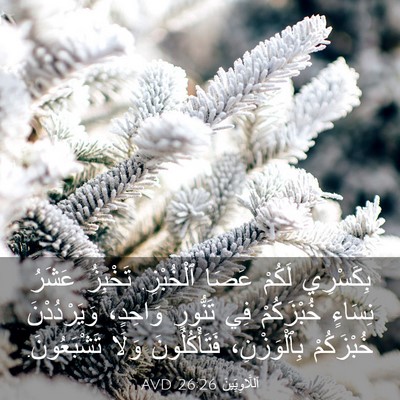 Picture 03 - اَللَّاوِيِّينَ 26:26 AVD - بِكَسْرِي لَكُمْ عَصَا - Bible Verse Picture