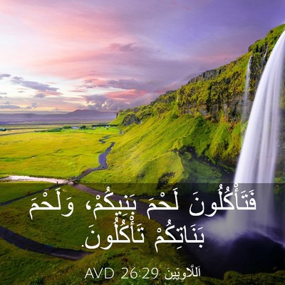 Picture 03 - اَللَّاوِيِّينَ 26:29 AVD - فَتَأْكُلُونَ لَحْمَ - Bible Verse Picture