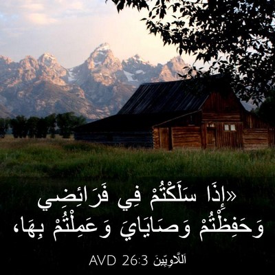 Picture 03 - اَللَّاوِيِّينَ 26:3 AVD - «إِذَا سَلَكْتُمْ فِي - Bible Verse Picture