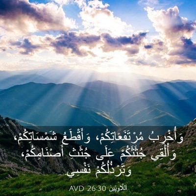 Picture 03 - اَللَّاوِيِّينَ 26:30 AVD - وَأُخْرِبُ - Bible Verse Picture