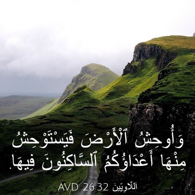 Picture 03 - اَللَّاوِيِّينَ 26:32 AVD - وَأُوحِشُ ٱلْأَرْضَ - Bible Verse Picture