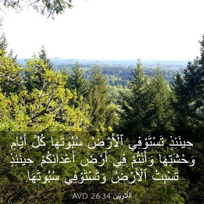 Picture 03 - اَللَّاوِيِّينَ 26:34 AVD - حِينَئِذٍ تَسْتَوْفِي - Bible Verse Picture