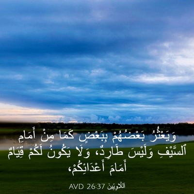 Picture 03 - اَللَّاوِيِّينَ 26:37 AVD - وَيَعْثُرُ بَعْضُهُمْ - Bible Verse Picture