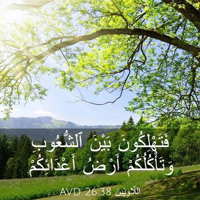 Picture 03 - اَللَّاوِيِّينَ 26:38 AVD - فَتَهْلِكُونَ بَيْنَ - Bible Verse Picture