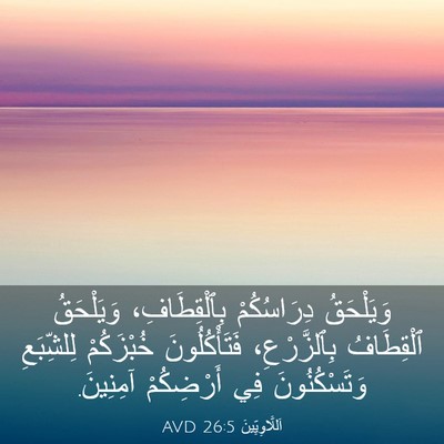 Picture 03 - اَللَّاوِيِّينَ 26:5 AVD - وَيَلْحَقُ دِرَاسُكُمْ - Bible Verse Picture