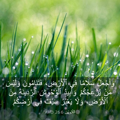 Picture 03 - اَللَّاوِيِّينَ 26:6 AVD - وَأَجْعَلُ سَلَامًا فِي - Bible Verse Picture
