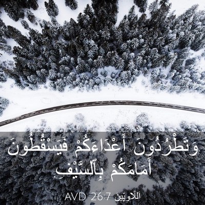 Picture 03 - اَللَّاوِيِّينَ 26:7 AVD - وَتَطْرُدُونَ - Bible Verse Picture