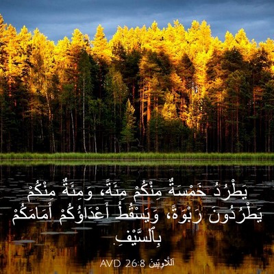Picture 03 - اَللَّاوِيِّينَ 26:8 AVD - يَطْرُدُ خَمْسَةٌ - Bible Verse Picture