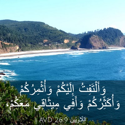 Picture 03 - اَللَّاوِيِّينَ 26:9 AVD - وَأَلْتَفِتُ إِلَيْكُمْ - Bible Verse Picture