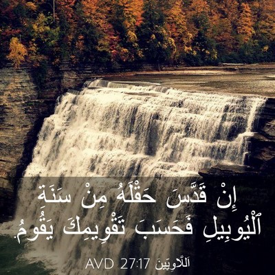 Picture 03 - اَللَّاوِيِّينَ 27:17 AVD - إِنْ قَدَّسَ حَقْلَهُ مِنْ - Bible Verse Picture