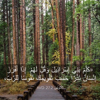 Picture 03 - اَللَّاوِيِّينَ 27:2 AVD - «كَلِّمْ بَنِي - Bible Verse Picture