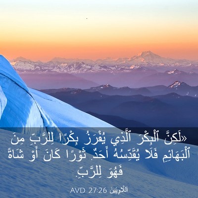 Picture 03 - اَللَّاوِيِّينَ 27:26 AVD - «لَكِنَّ ٱلْبِكْرَ - Bible Verse Picture