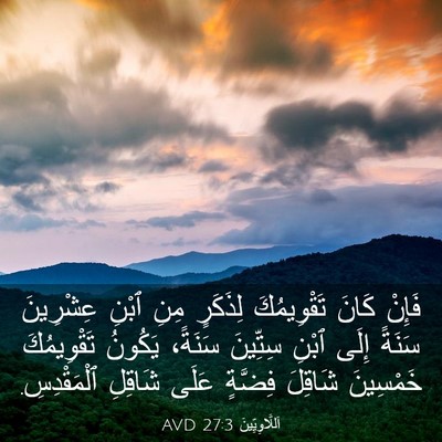 Picture 03 - اَللَّاوِيِّينَ 27:3 AVD - فَإِنْ كَانَ تَقْوِيمُكَ - Bible Verse Picture