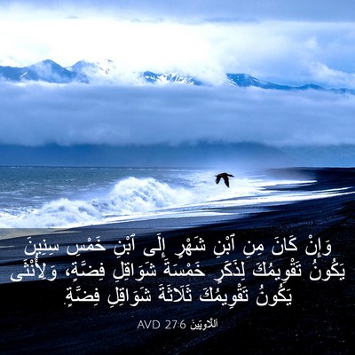 Picture 03 - اَللَّاوِيِّينَ 27:6 AVD - وَإِنْ كَانَ مِنِ ٱبْنِ - Bible Verse Picture