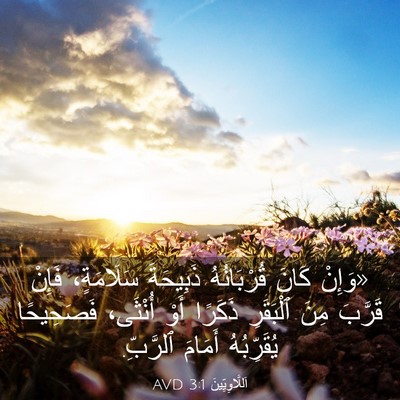 Picture 03 - اَللَّاوِيِّينَ 3:1 AVD - «وَإِنْ كَانَ قُرْبَانُهُ - Bible Verse Picture