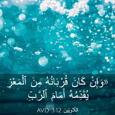 Picture 03 - اَللَّاوِيِّينَ 3:12 AVD - «وَإِنْ كَانَ قُرْبَانُهُ - Bible Verse Picture