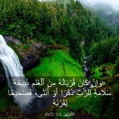 Picture 03 - اَللَّاوِيِّينَ 3:6 AVD - «وَإِنْ كَانَ قُرْبَانُهُ - Bible Verse Picture