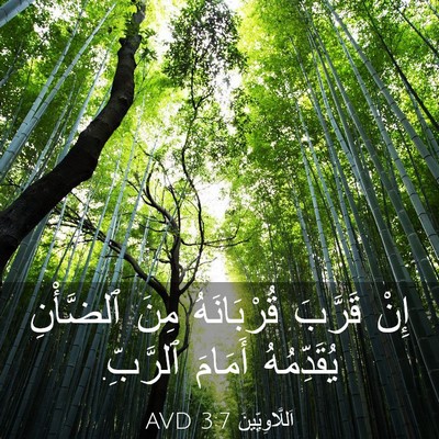 Picture 03 - اَللَّاوِيِّينَ 3:7 AVD - إِنْ قَرَّبَ قُرْبَانَهُ - Bible Verse Picture